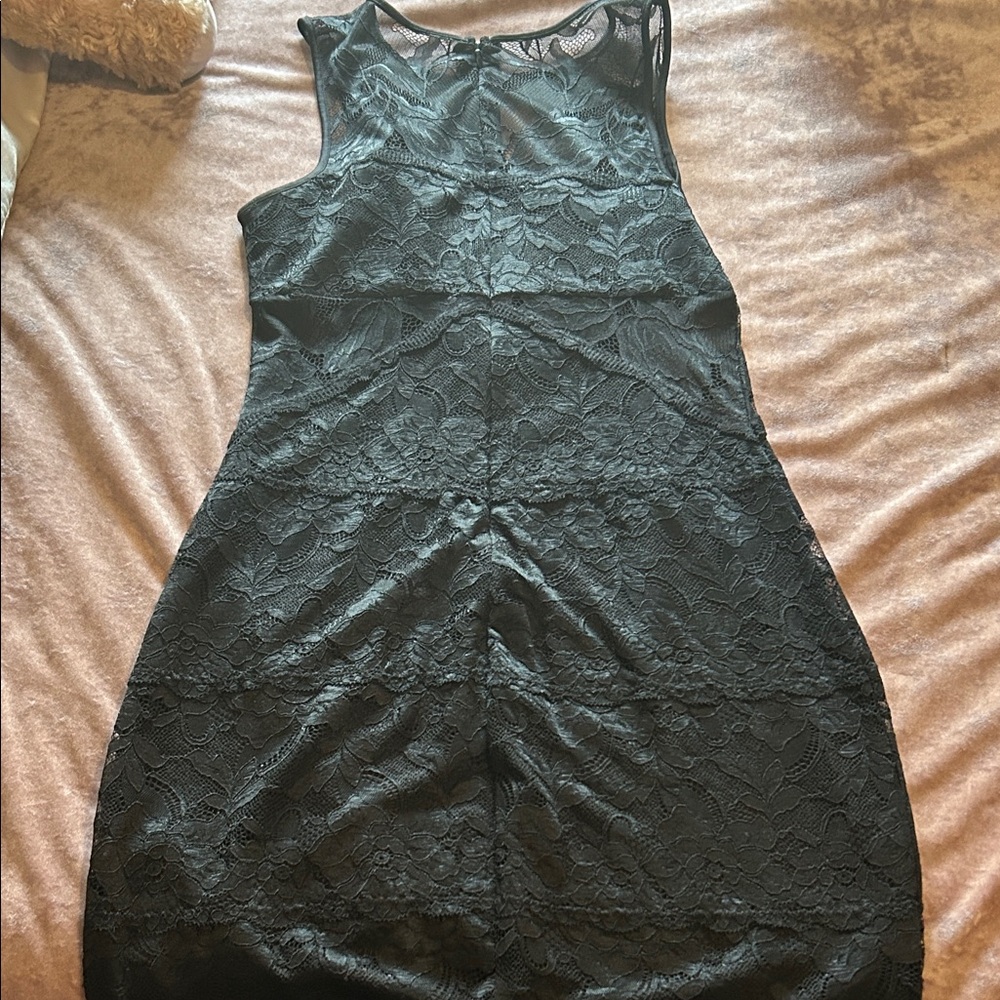 Elegant Black stretchy Lace Dress